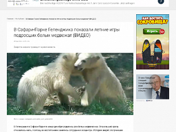 В Сафари-Парке Геленджика показали летние игры подросших белых медвежат - Новая Кубань