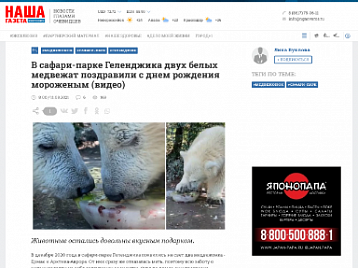 В Сафари-Парке Геленджика двух белых медвежат поздравили с днем рождения мороженым - Наша Газета