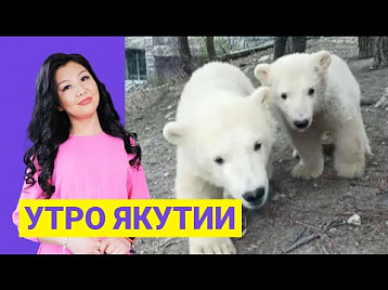 Утро Якутии: Меню белых медвежат в зоопарке Геленджика. Выпуск от 26.04.21