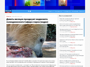 Девять месяцев празднуют медвежата Геленджикского Сафари-парка - Россия Вести Кубань